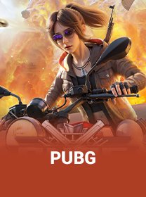 PUBG game cover